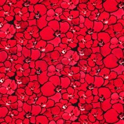 VISCOSE JERSEY DIGITAL FLOWERS RED (thumbnail)