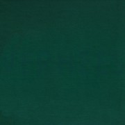 TENCEL™ MODAL JERSEY GREEN (thumbnail)