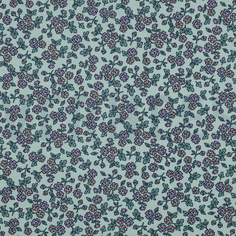 FLANNEL FLOWERS MINT
