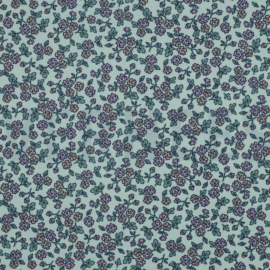 FLANNEL FLOWERS MINT