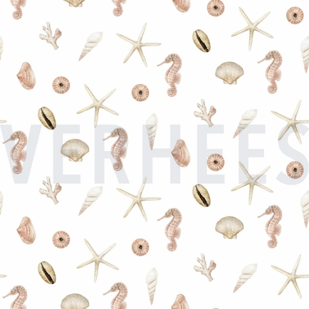 CANVAS DIGITAL SHELLS WHITE (hover)