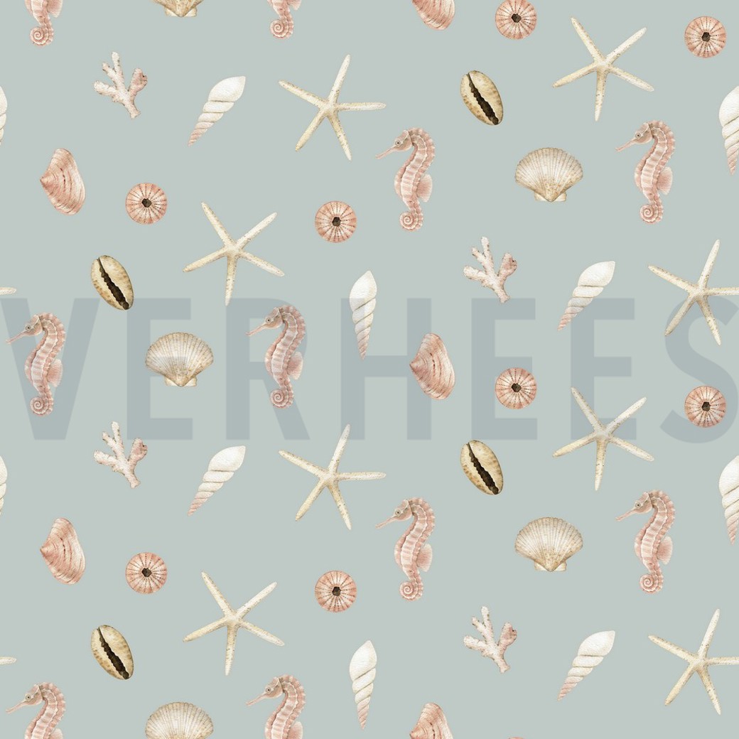 CANVAS DIGITAL SHELLS LIGHT BLUE