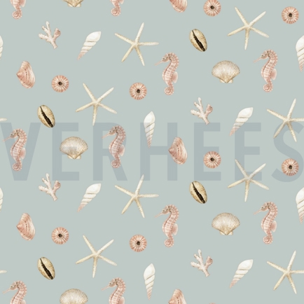 CANVAS DIGITAL SHELLS LIGHT BLUE (hover)