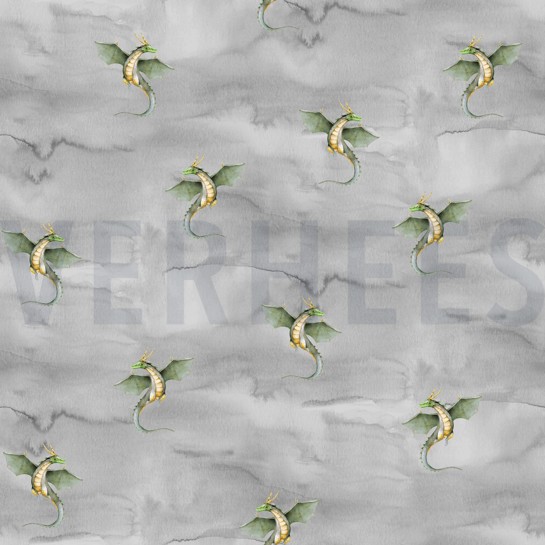 JERSEY DIGITAL DRAGONS GREY #7