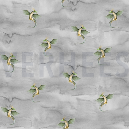 JERSEY DIGITAL DRAGONS GREY (hover)