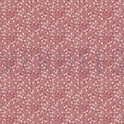 POPLIN MINIMALS DARK ROSE (thumbnail)