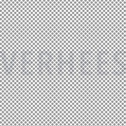 POPLIN MINIMALS WHITE/ BLACK (thumbnail)