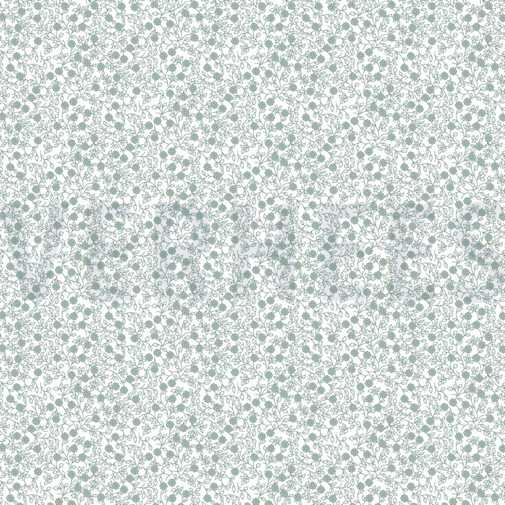 POPLIN MINIMALS WHITE/ NILE