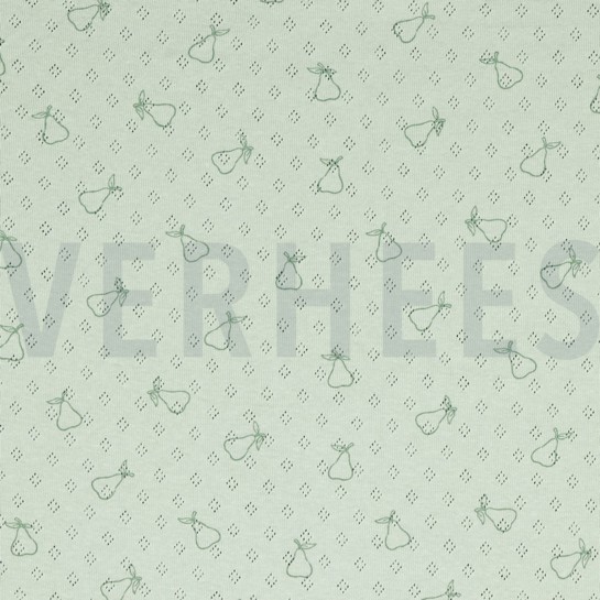 POINTOILLE PEAR NILE #7