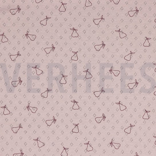 POINTOILLE POIRE ROSE ANCIEN #7