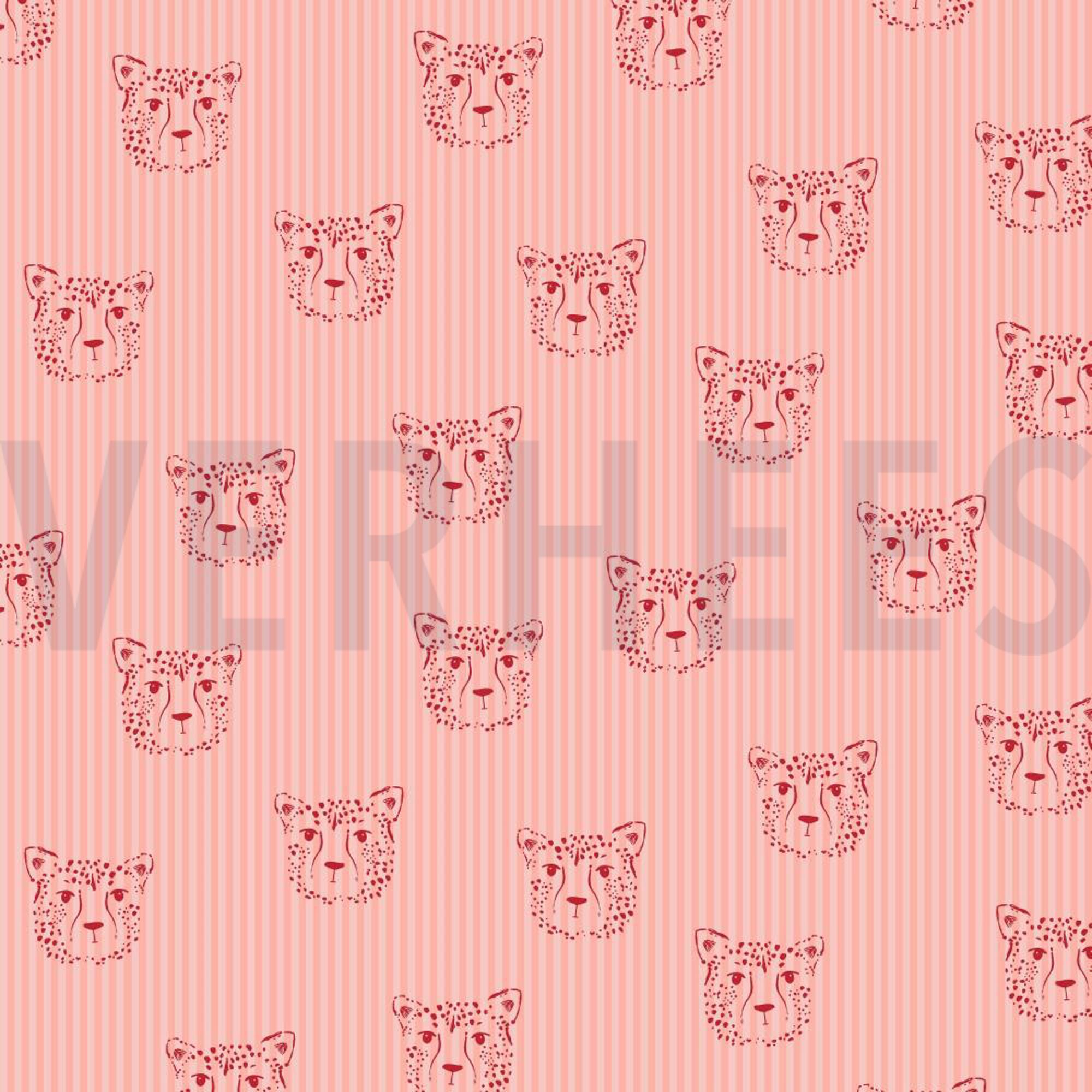 POPLIN LEOPARD PORTRAIT ROSE (high resolution)