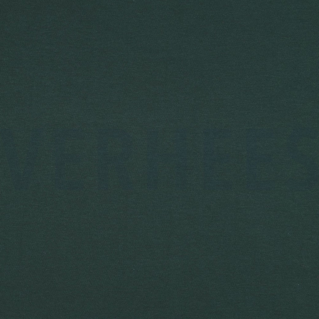 JERSEY GOTS FOREST GREEN