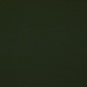 JERSEY GOTS DARK FOREST GREEN (thumbnail)