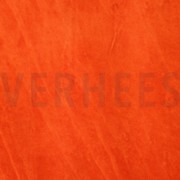 NICKY ORANGE (thumbnail)