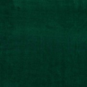 NICKY DARK GREEN (thumbnail)