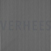 POPLIN STRIPE BLACK (thumbnail)