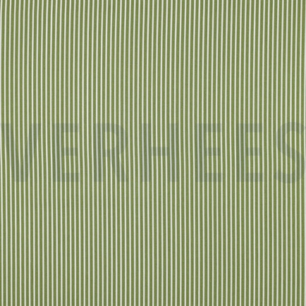 BAUMWOLLE POPELINE STREIFEN GRÜN (hover)