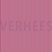 POPLIN STRIPE CERISE (thumbnail)