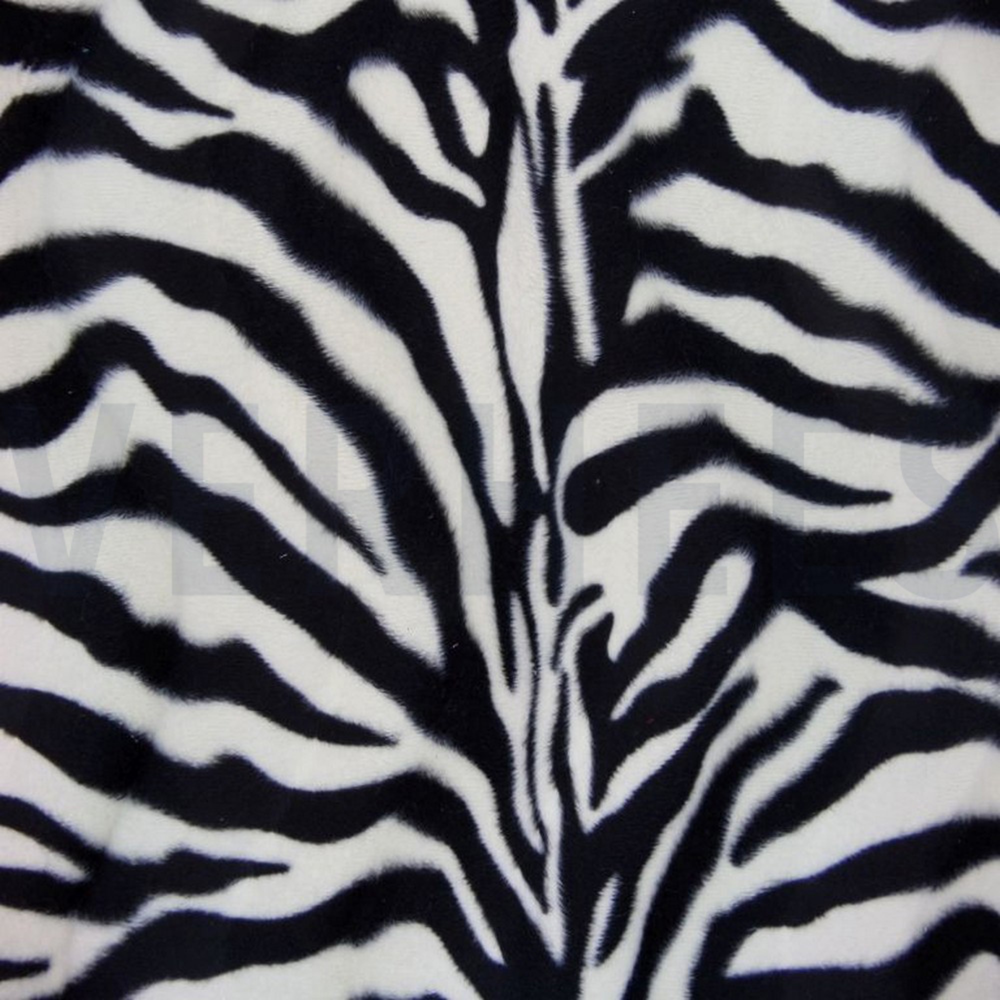 ZEBRA ECRU/BLACK (high resolution)
