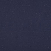 COSY COLOURS SWEAT NAVY (thumbnail)