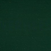 COSY COLOURS SWEAT DARK GREEN (thumbnail)
