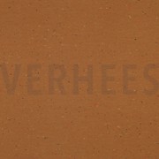 COSY COLOURS SWEAT MUSTARD (thumbnail)