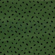 NICKY SHAPE PICKLE (thumbnail)