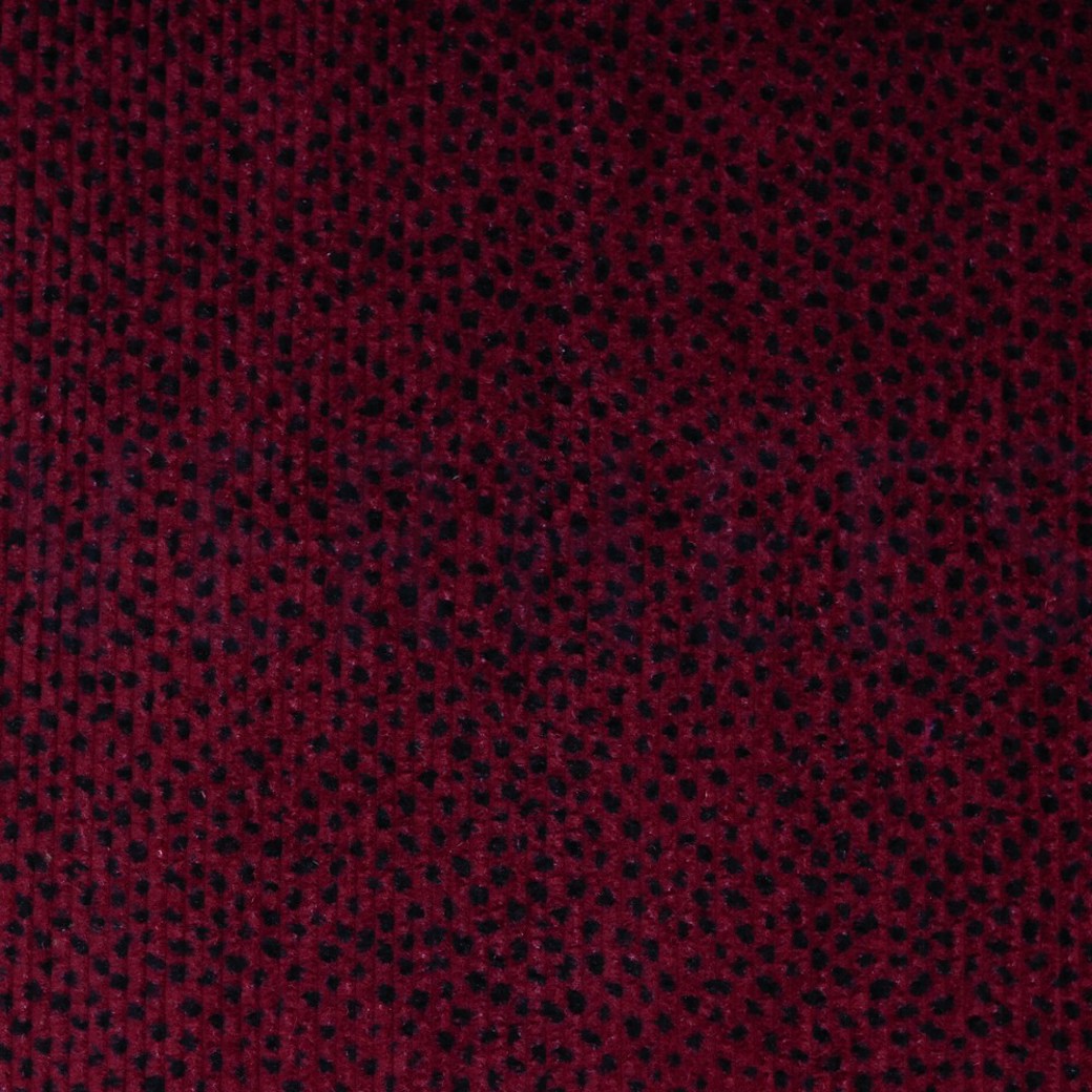 WASHED CORDUROY DOTS BERRY