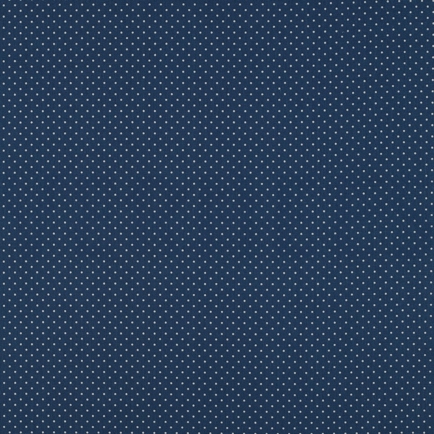 BESCHICHTETE BAUMWOLLE KLEINE PUNKTE JEANSBLAU (hover)