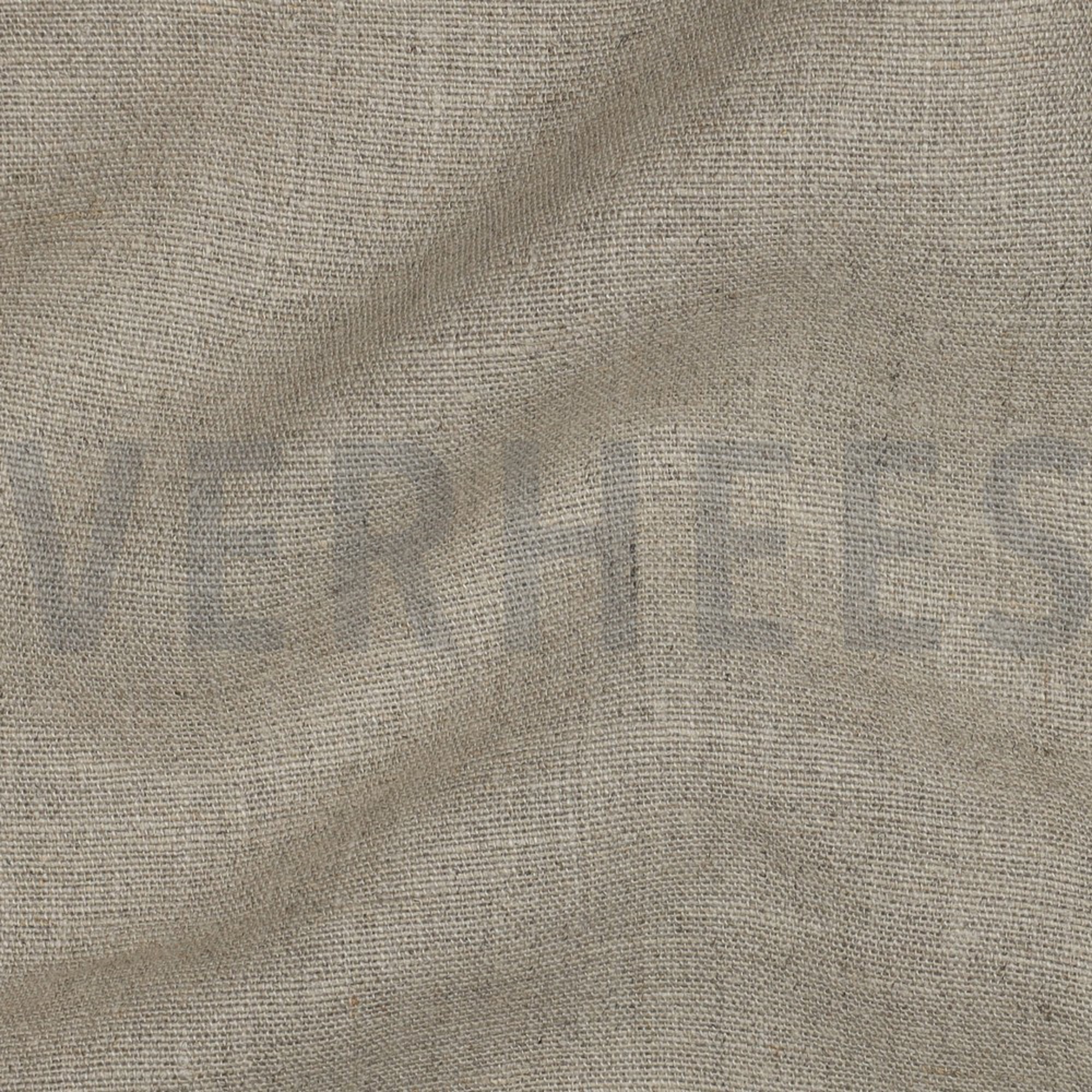 EUROPEAN FLAX LINEN 280 GM2 NATURAL / NATURAL (high resolution) #2
