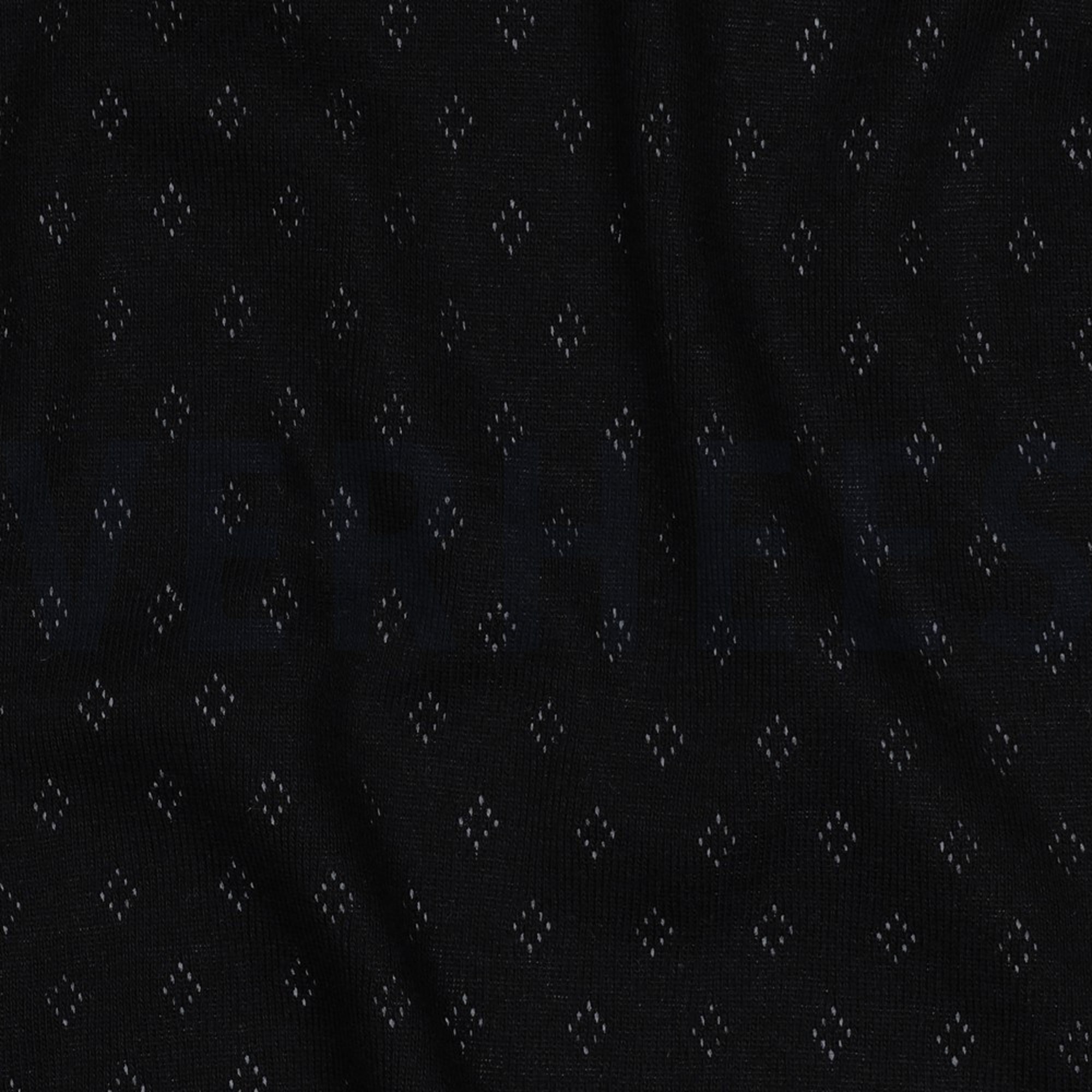 POINTOILLE BLACK (high resolution) #2