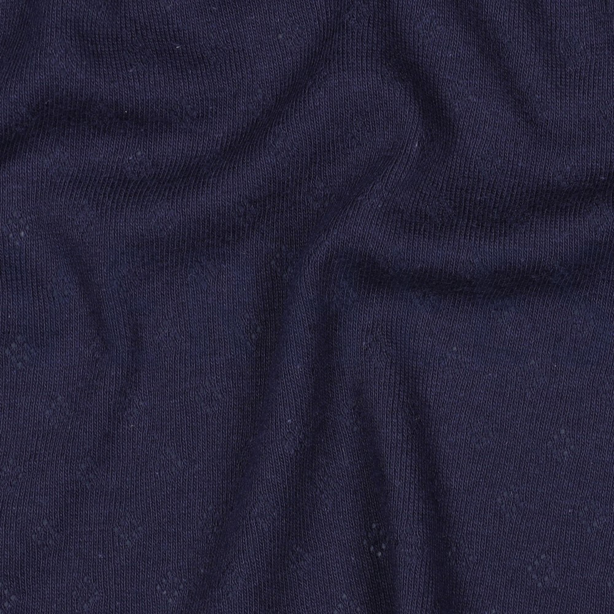 POINTOILLE NAVY (high resolution) #2