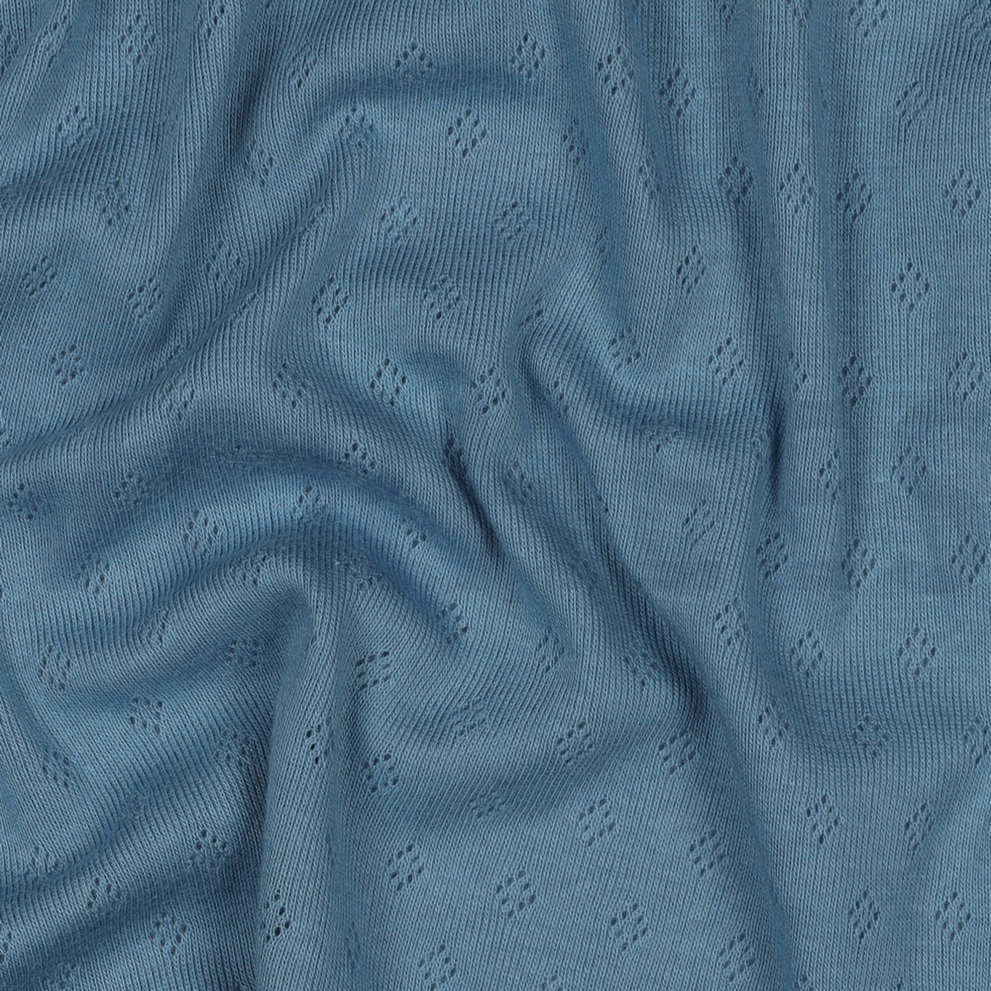 POINTOILLE BLUE (high resolution) #2
