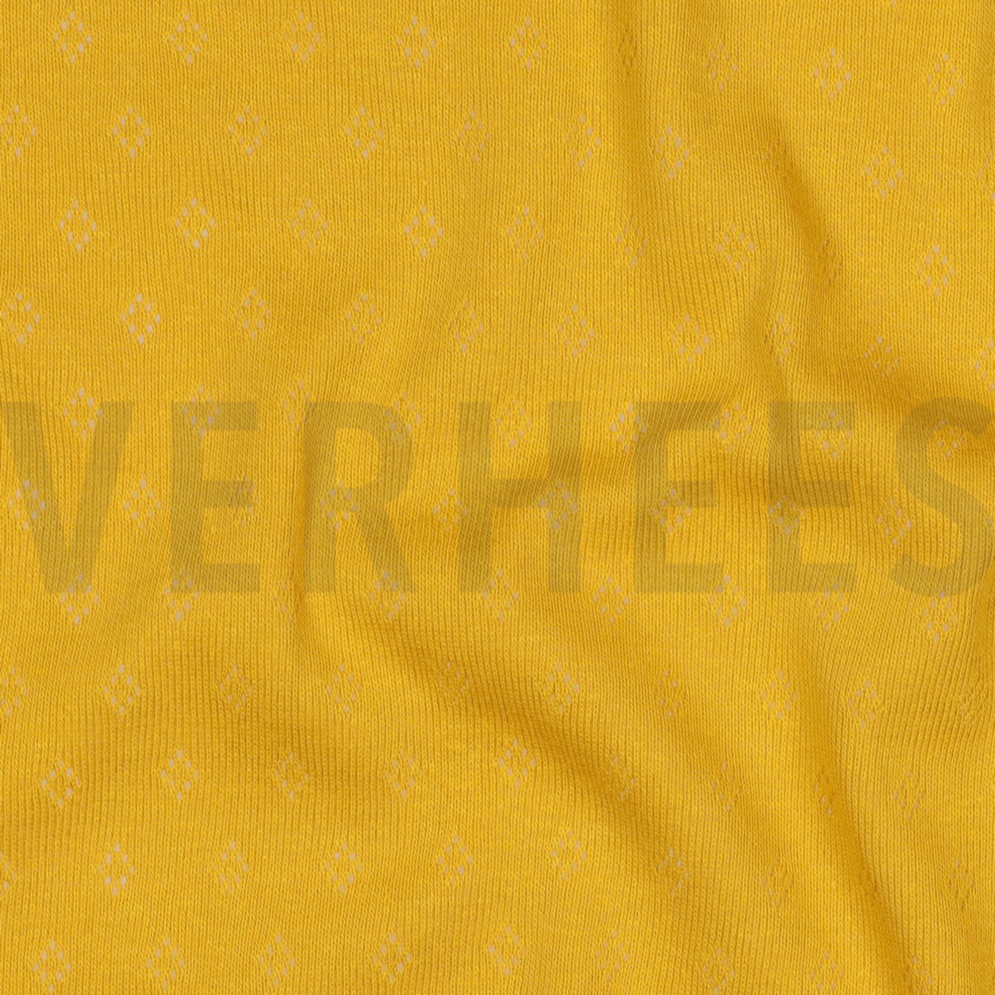 POINTOILLE OCHRE (high resolution) #2