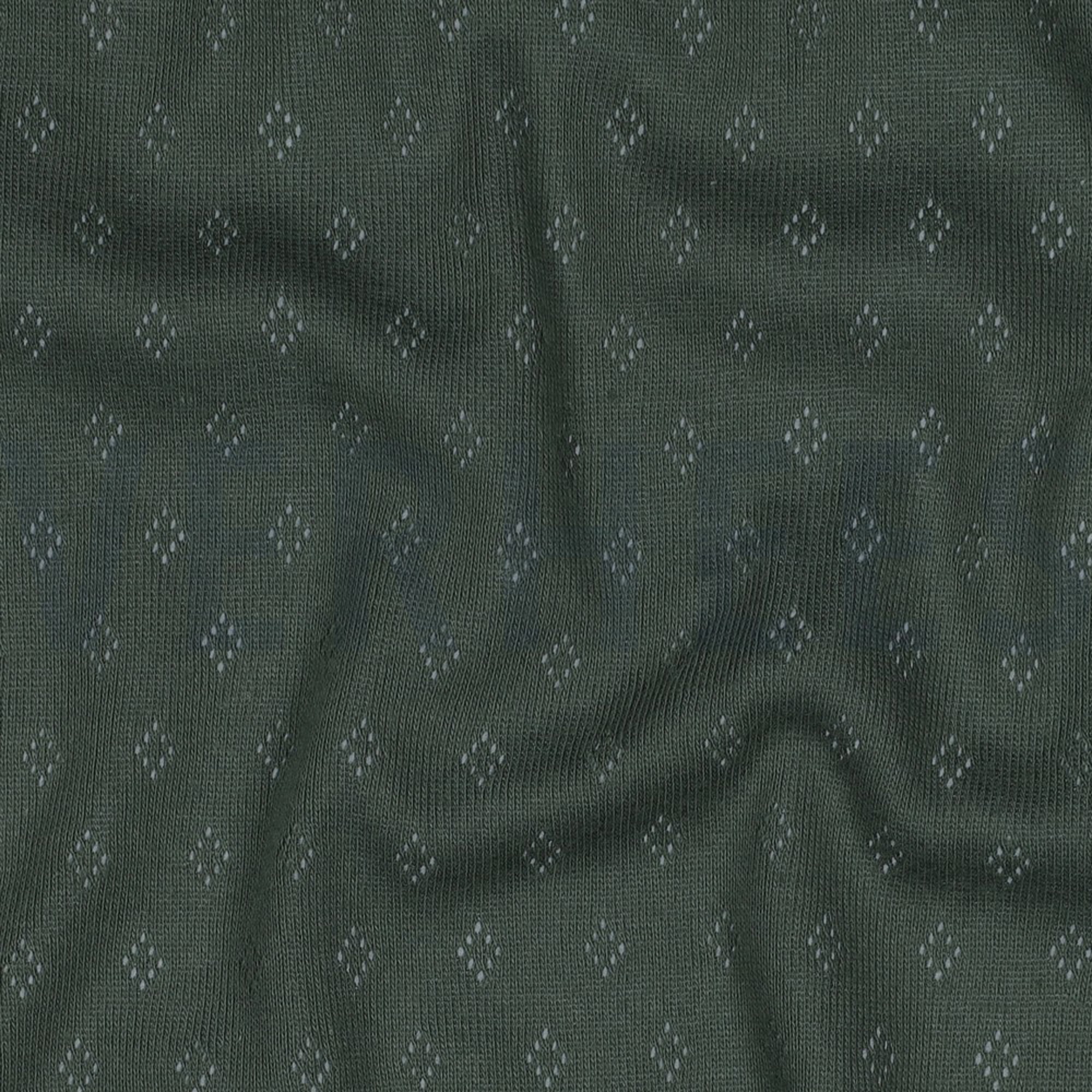 POINTOILLE DARK GREEN (high resolution) #2