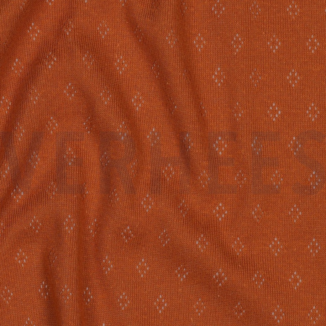 POINTOILLE COGNAC #2