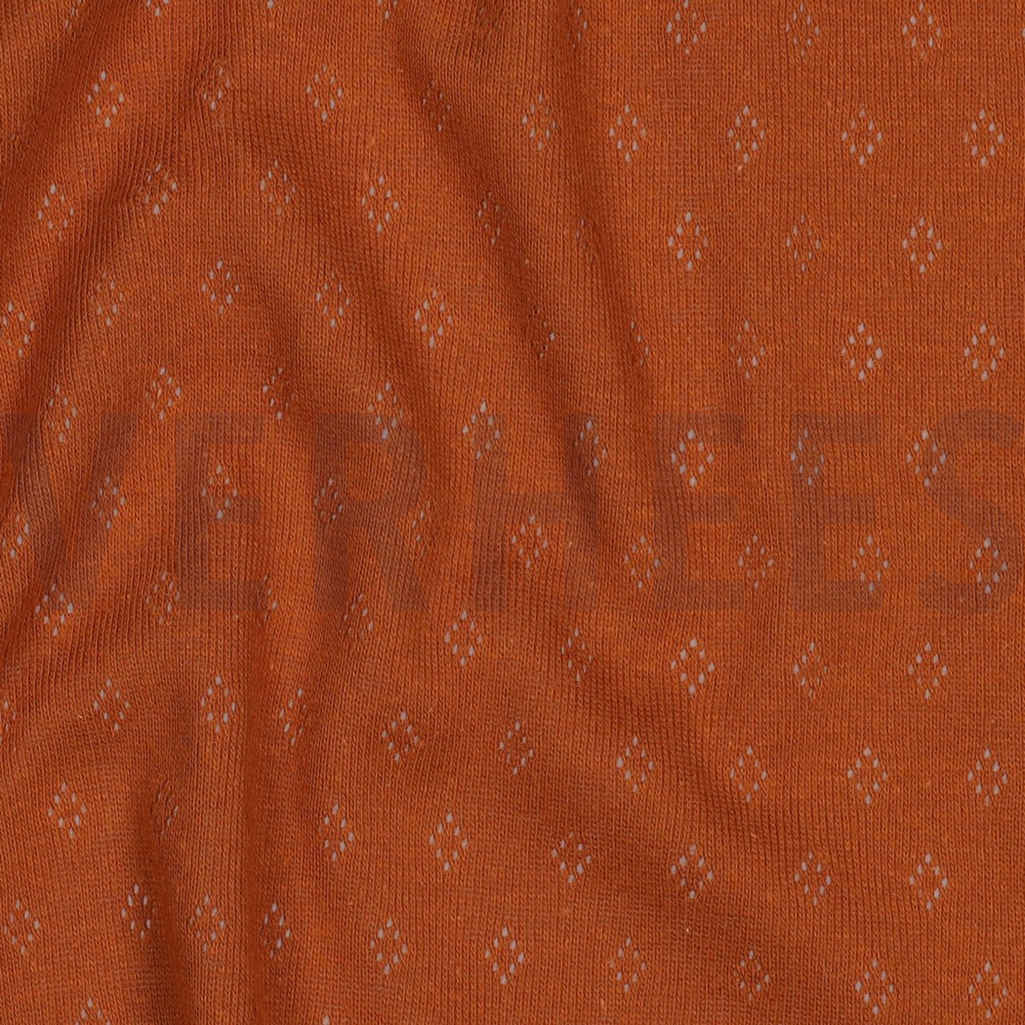 POINTOILLE COGNAC (high resolution) #2