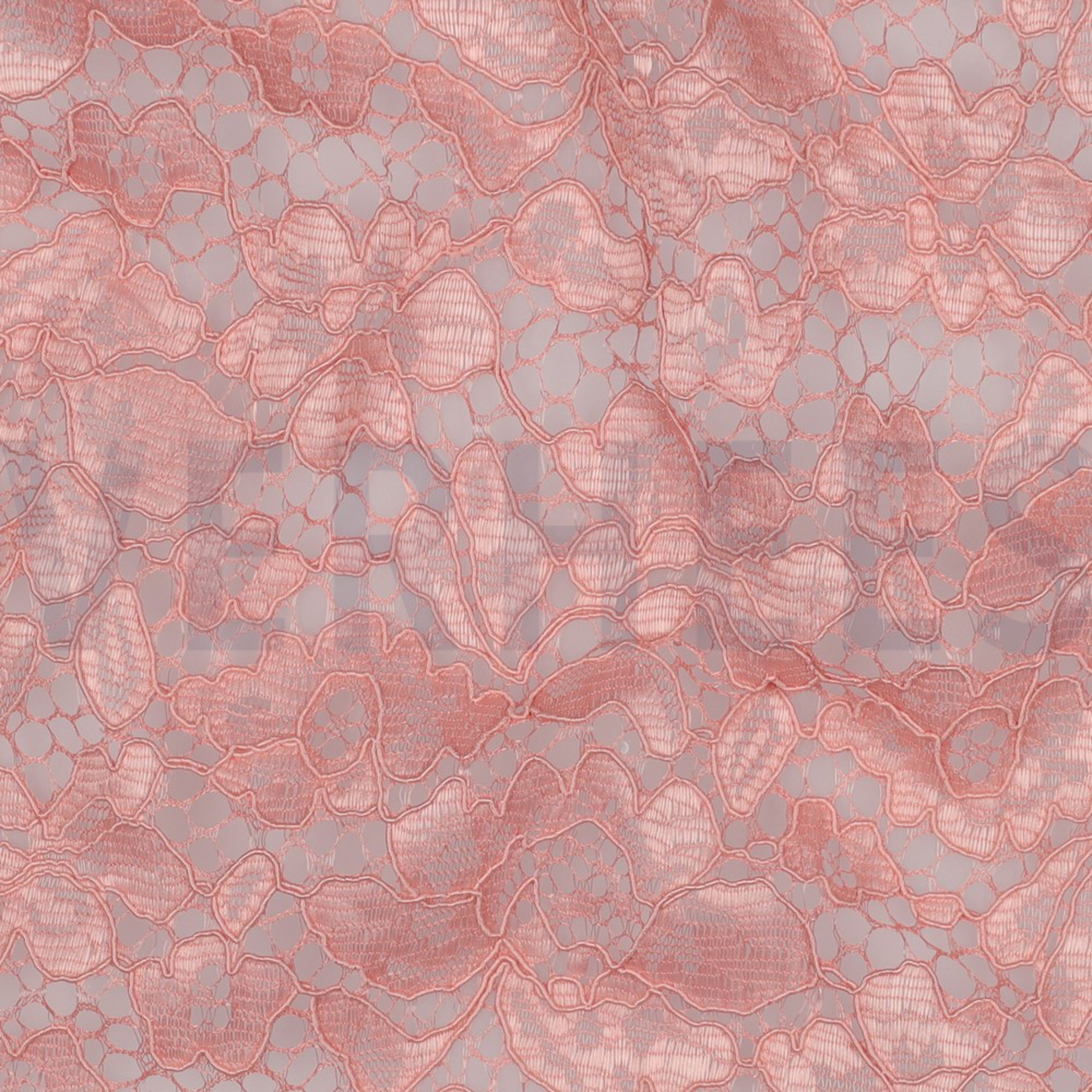 LACE BORDER 2 SIDES ROSE (high resolution) #2