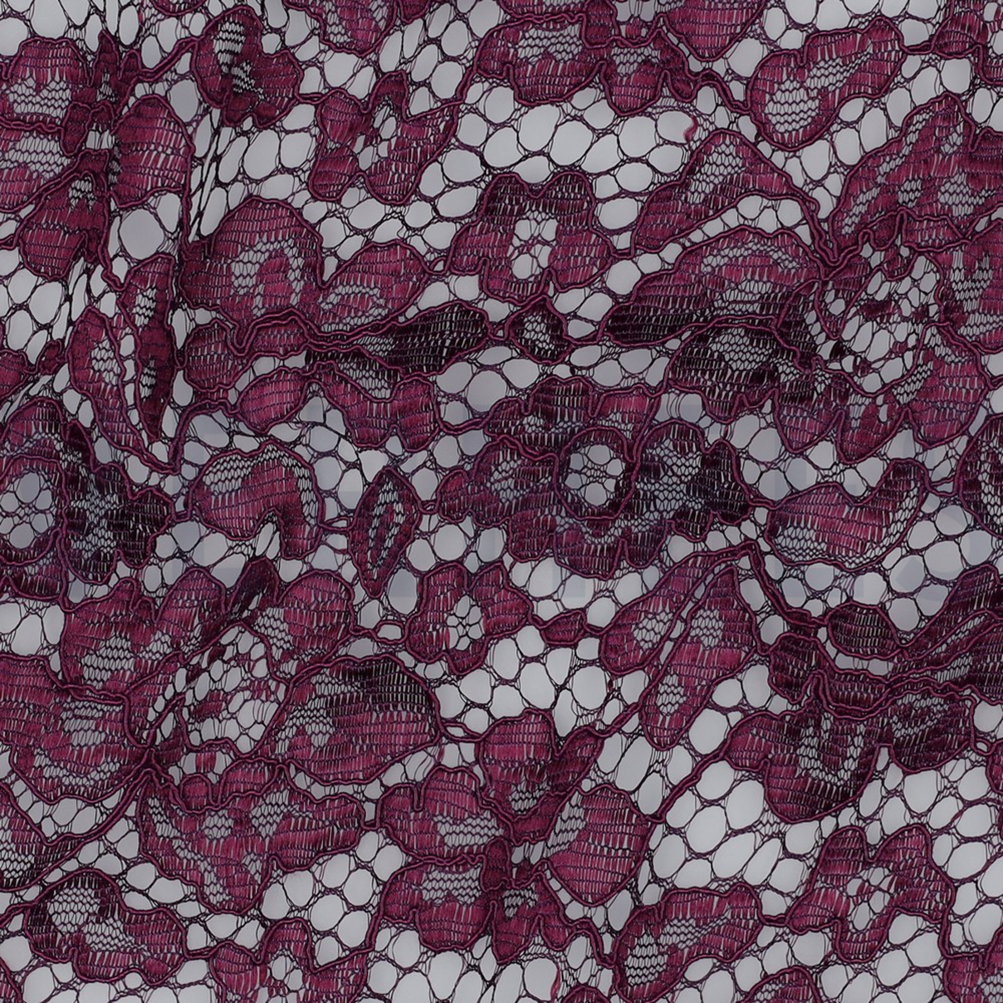 LACE BORDER 2 SIDES PURPLE (high resolution) #2