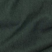 DENIM DARK GREEN (thumbnail) #2