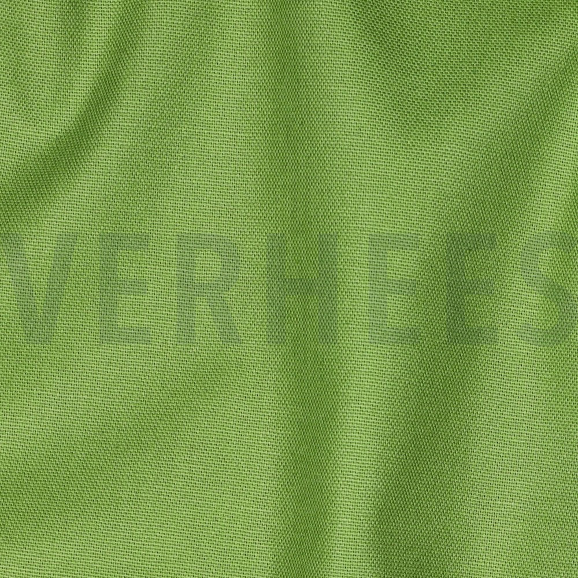 CANVAS LIME (high resolution) #2