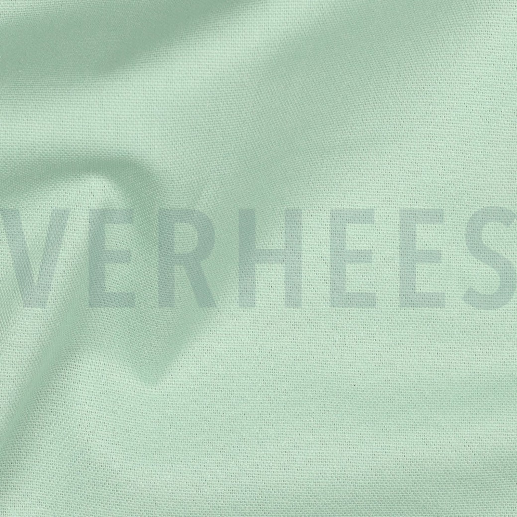 CANVAS MINT #2