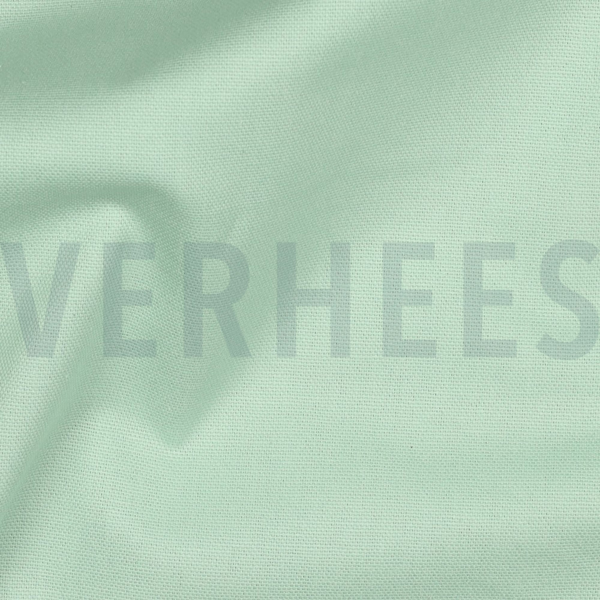 CANVAS MINT (high resolution) #2