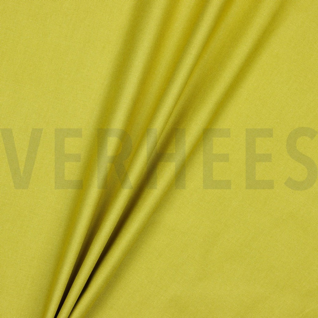 CANVAS CURRY #2