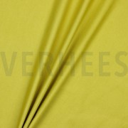 CANVAS CURRY (thumbnail) #2