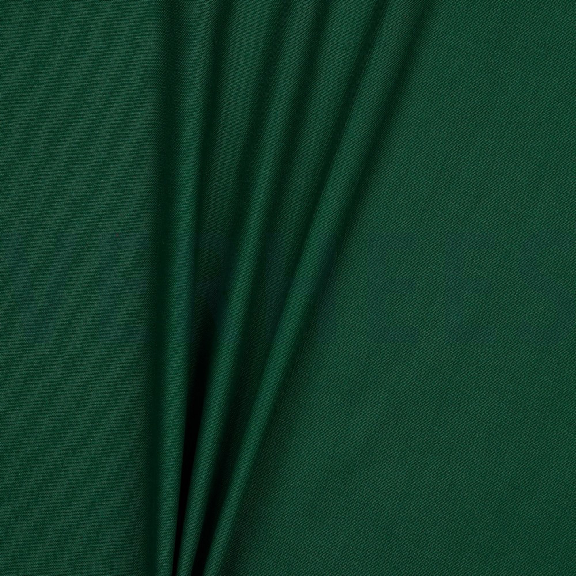 CANVAS DARK GREEN (high resolution) #2