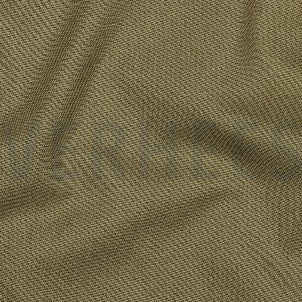 CANVAS OLIVE #2