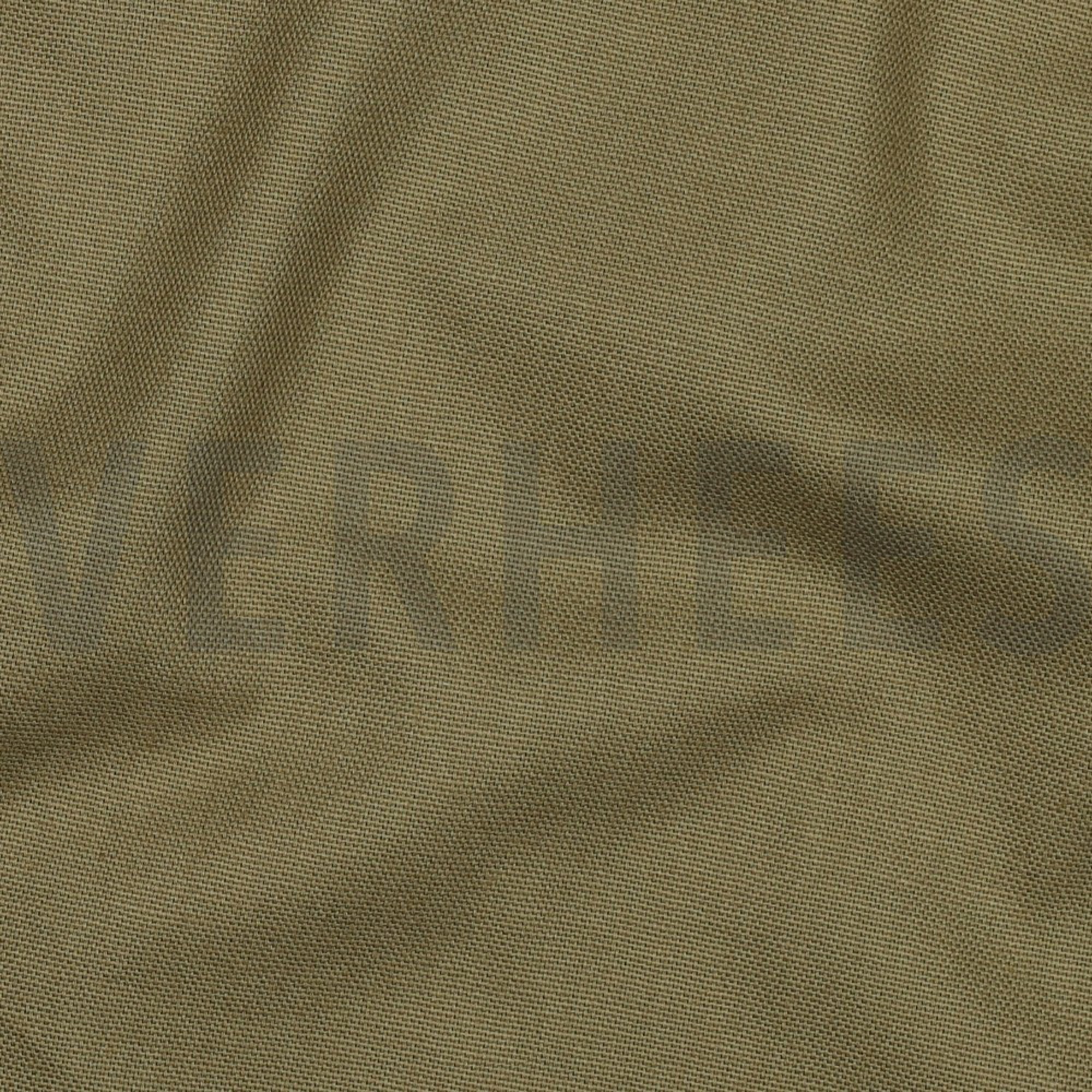 CANVAS OLIVE (high resolution) #2