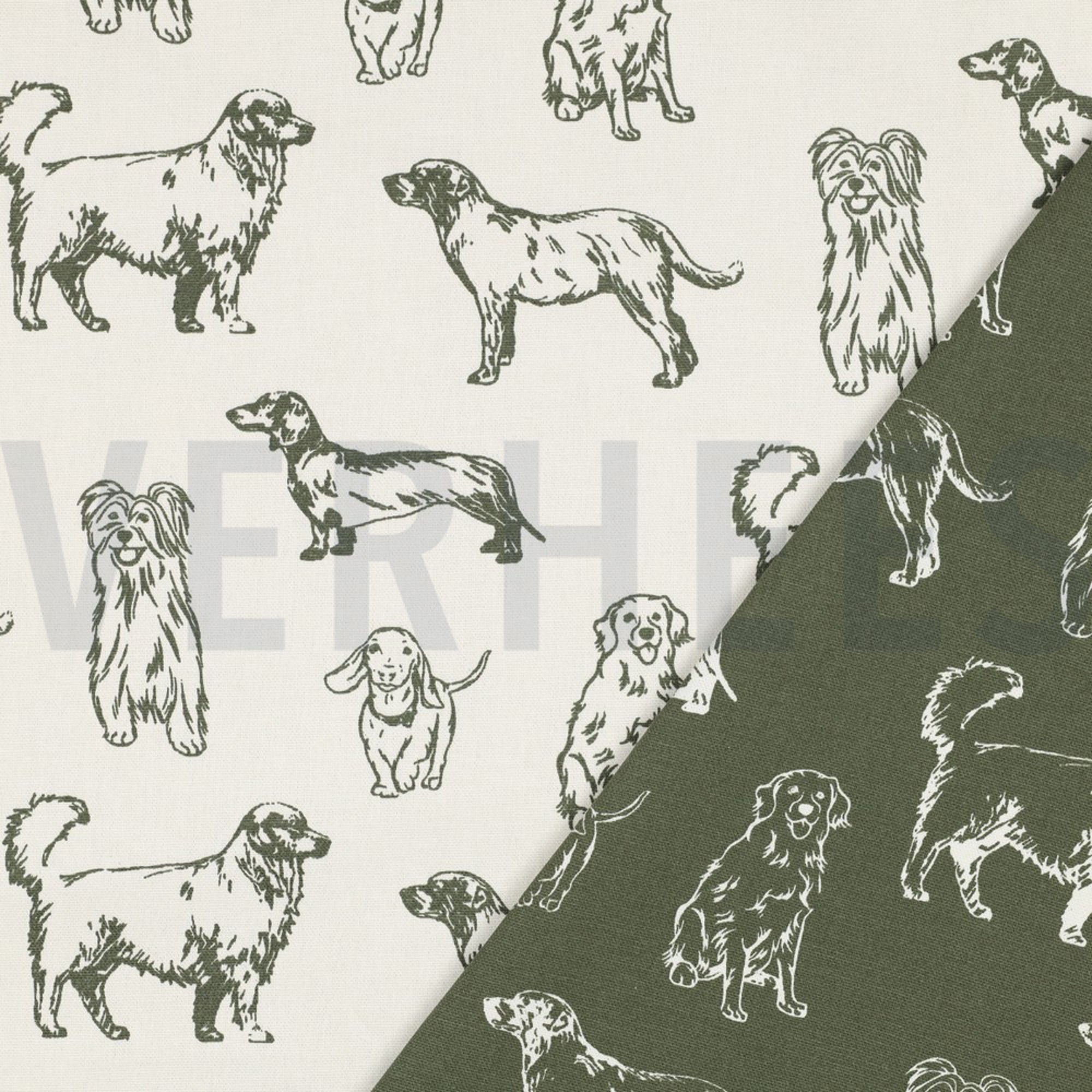 CANVAS DOGS ECRU / GREEN (high resolution) #2