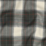 TARTAN CHECK PICKLE/ECRU (thumbnail) #2